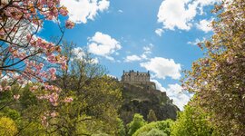 Timeline: CC Plus WCH Spring Semester Timeline