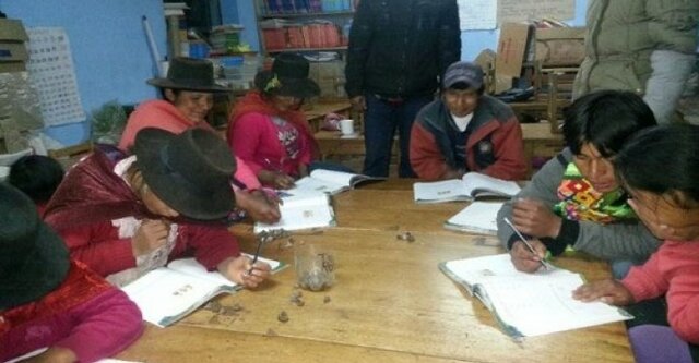 Programa de alfabetización