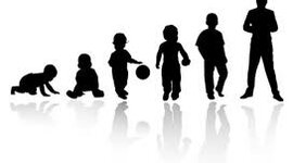 Timeline: Aprendizajes Durante el cruso