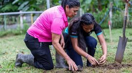 Timeline: La Conciencia Ambiental en Costa Rica