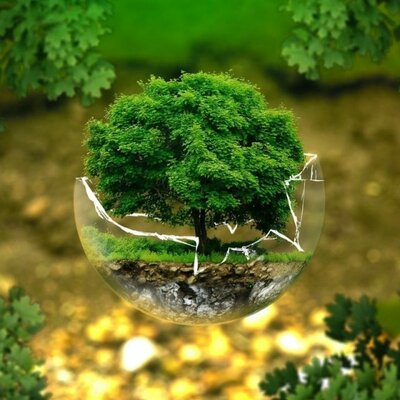 Timeline: Turismo Ecológico