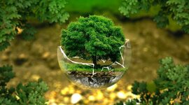 Timeline: Turismo Ecológico