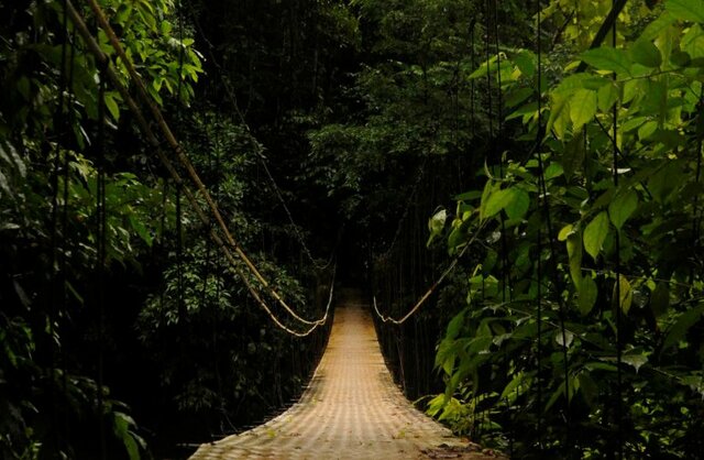 Creación de un programa de monitoreo de las gestión de las ASP
