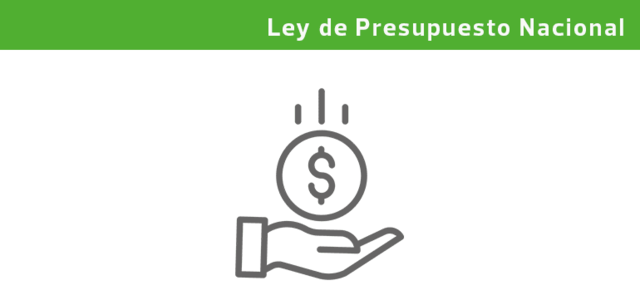 Ley de Presupuesto