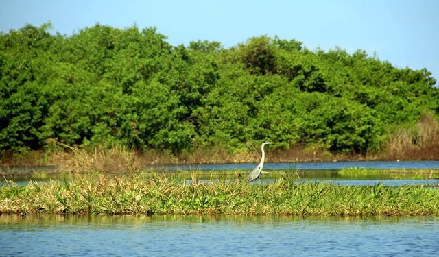 Creación de la ley Ley Nº 7224