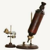 Microscopi (Anton van Leeuwenhoek.)