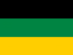 Congreso Nacional Africano