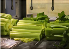 Découpe au jet d'eau