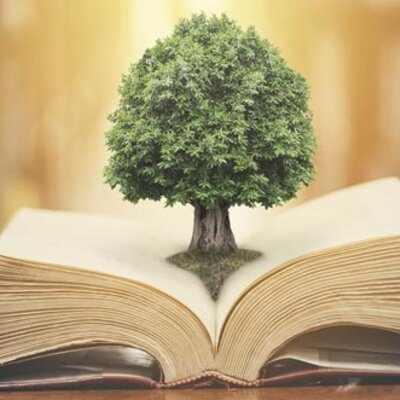 Timeline: Inicios de la Educación Ambiental