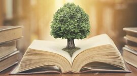 Timeline: Inicios de la Educación Ambiental