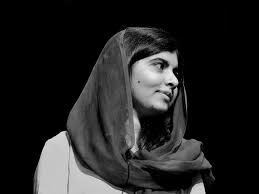 The incredible project