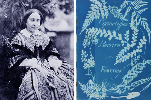 Anna Atkins - Primer libro fotográfico - Cianotipia