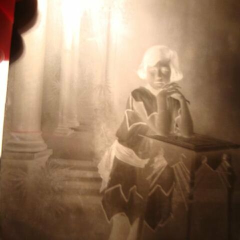 Richard Leach Maddox - Placas Secas - Gelatino-Bromuro