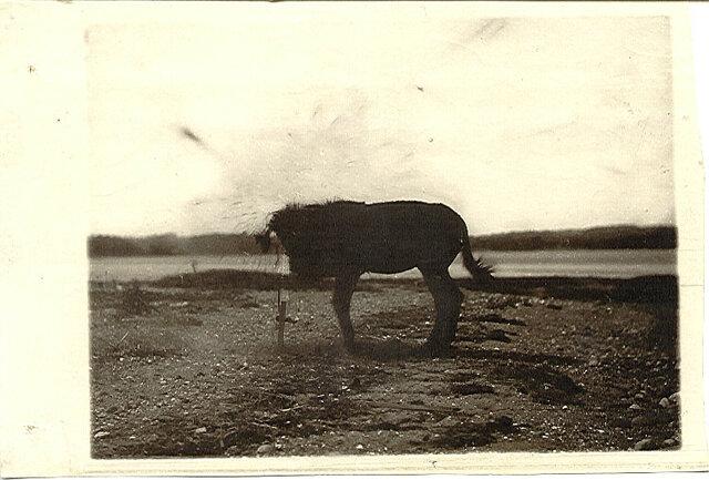 Charles E. Bennett - Mejora del Gelatino-Bromuro