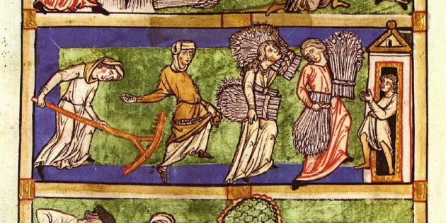 Sentencia arbitral de Guadalupe