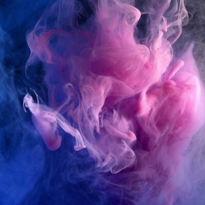 Timeline: Kiss Bettina