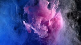 Timeline: Kiss Bettina