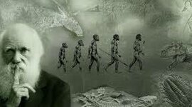 Timeline: Inicios del planeta tierra hasta la evolución celular de procariotas y eucariotas