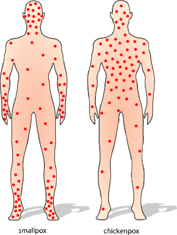 mother and brother die