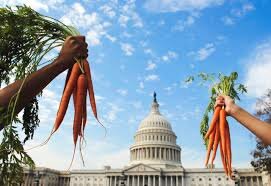 1996 Freedom to Farm Act