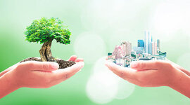 Timeline: Evolución del pensamiento ambiental y de la sostenibilidad a lo largo de la historia