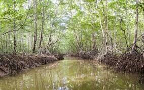 Convenio de Ramsar, Irán (UNESCO)