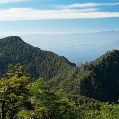 Timeline: Cumbres internacionales