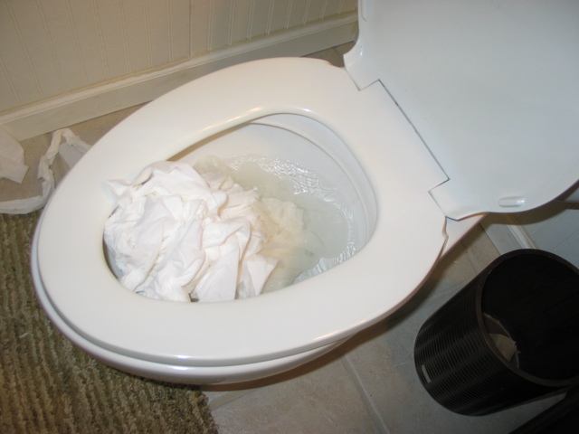 Toilet Paper incident