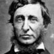 Henry david thoreau mr