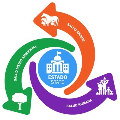 Timeline: CONCEPTO DE SALUD - EVOLUCIÓN