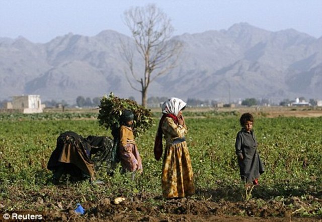 Farming Begins in Middle East