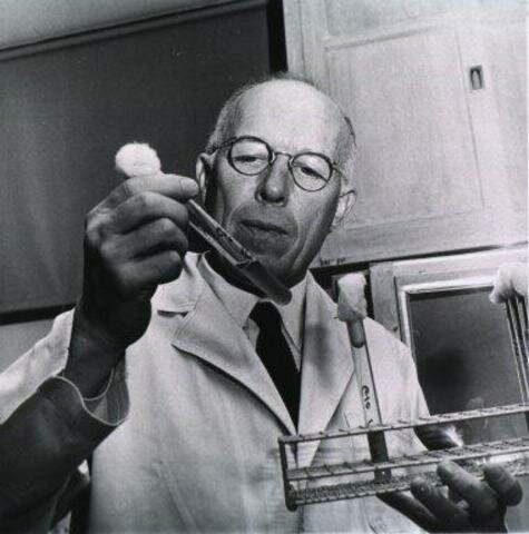 Teoría Contagionista