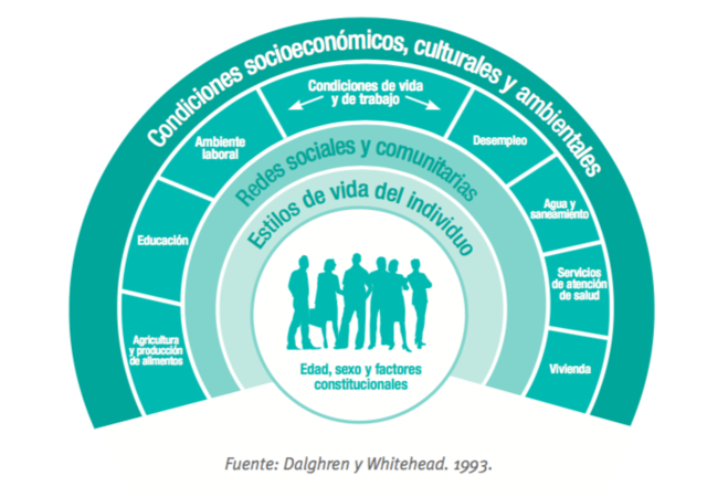 Modelo Histórico-Social