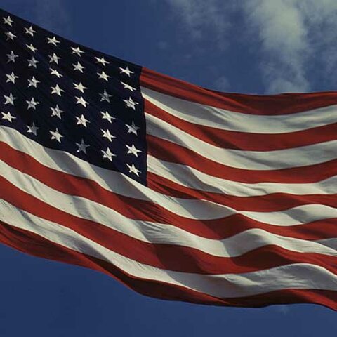 Fifty Stars and Thirteen Stripes