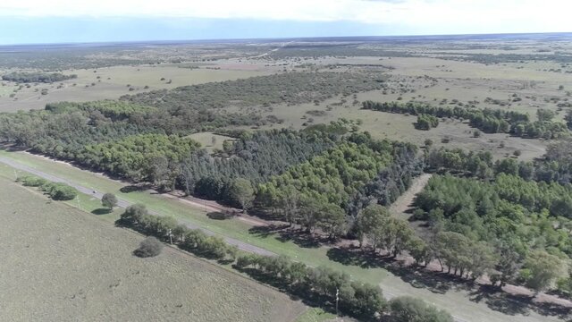 Fundación de primeros pueblos pampeanos