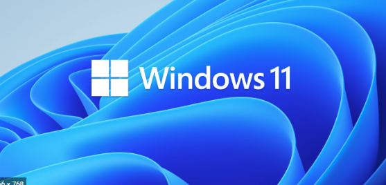 Windows 11