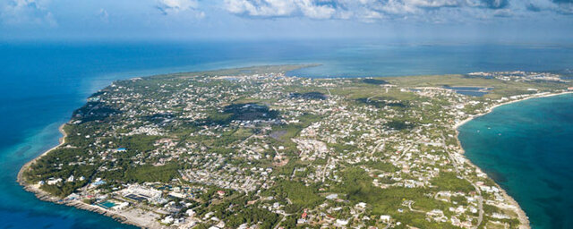 The Caymanus