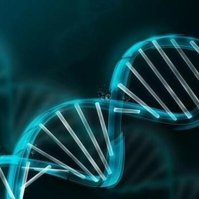 Timeline: Línea del tiempo.