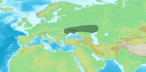 Urindoeuropeer
