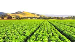 Nekazari izatearen zailtasunak