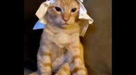 Timeline: al_andalus