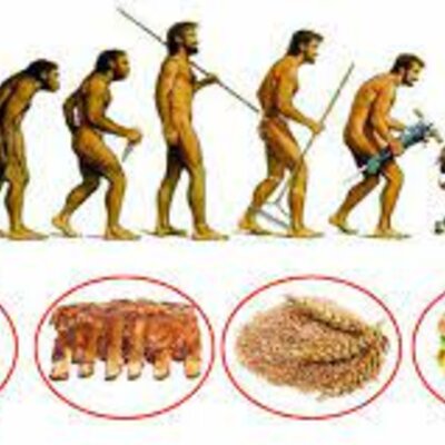 Timeline: Storia della Gastronomia