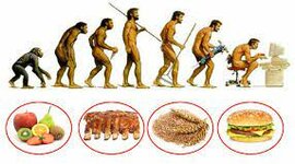 Timeline: Storia della Gastronomia