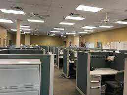 Fitzgerald quits his job