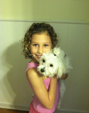 Getting Our First Dog