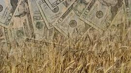 Timeline: Amanda Jackson - Farm Bill Timeline