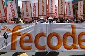 Estudio e Investigación de políticas públicas