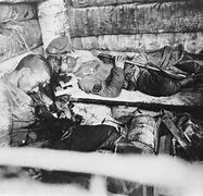 Programa educativo dedicado a la paz