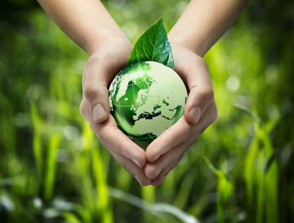 ECODESARROLLO