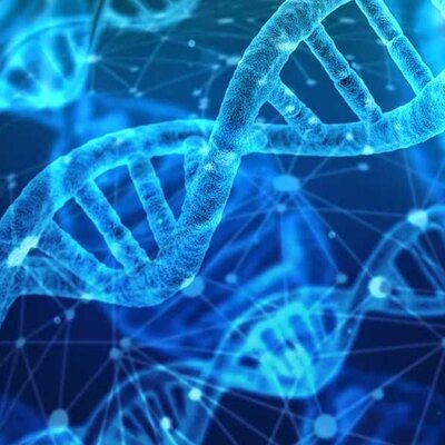 Timeline: LA SALUD A LO LARGO DEL TIEMPO